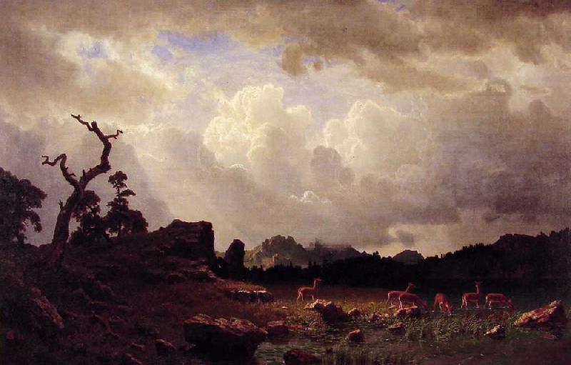 Albert Bierstadt Thunderstorm in the Rocky Mountains Sweden oil painting art